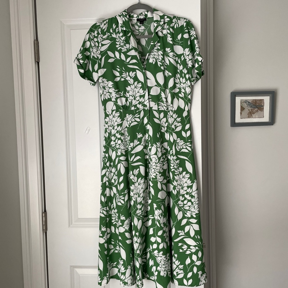 Green White Collared Button Up Dress